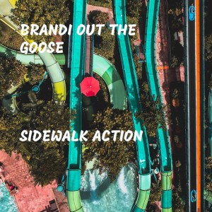 Brandi Out The Goose