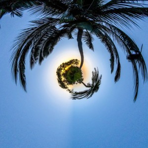 Barley Orangepebbles