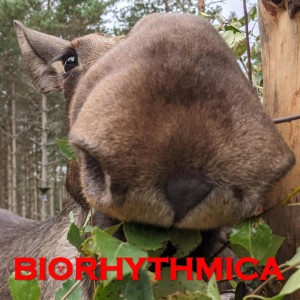 Biorhythmica