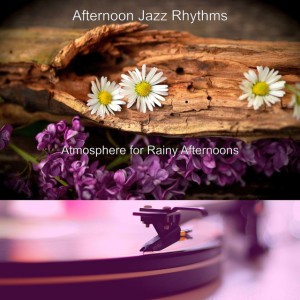 Afternoon Jazz Rhythms