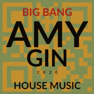 Amy Gin