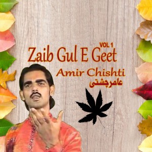 Amir Chishti