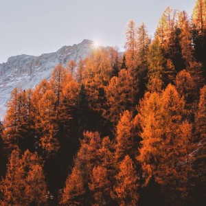 Bebekler İçin Dinlendirin Serin Soluk