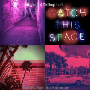 Beautiful Chillhop Lofi
