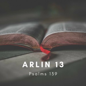 Arlin 13