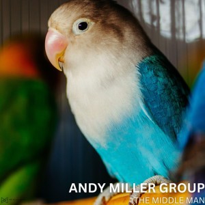 Andy Miller Group
