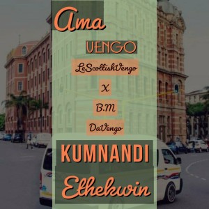 B.M DaVengo (AmaVengo)