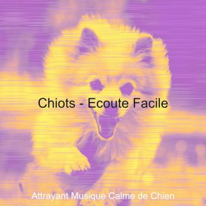 Attrayant Musique Calme de Chien