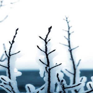 A Thing Of The Storm