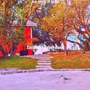 Caribbean Beach Band