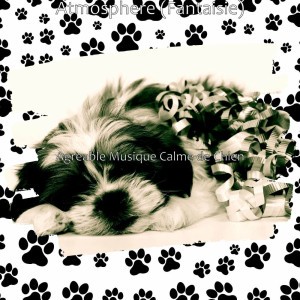 Agreable Musique Calme de Chien