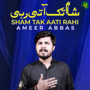 Ameer Abbas